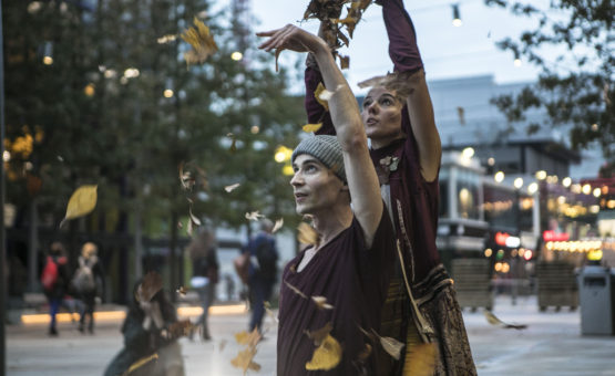 Image of an IQL festival Stratford