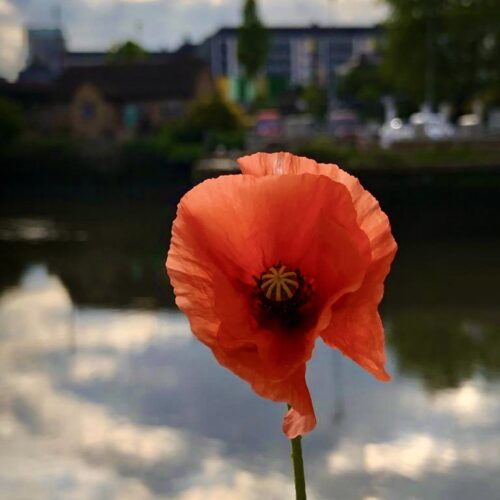 Untitled, taken at our Photography at Cody Dock workshop