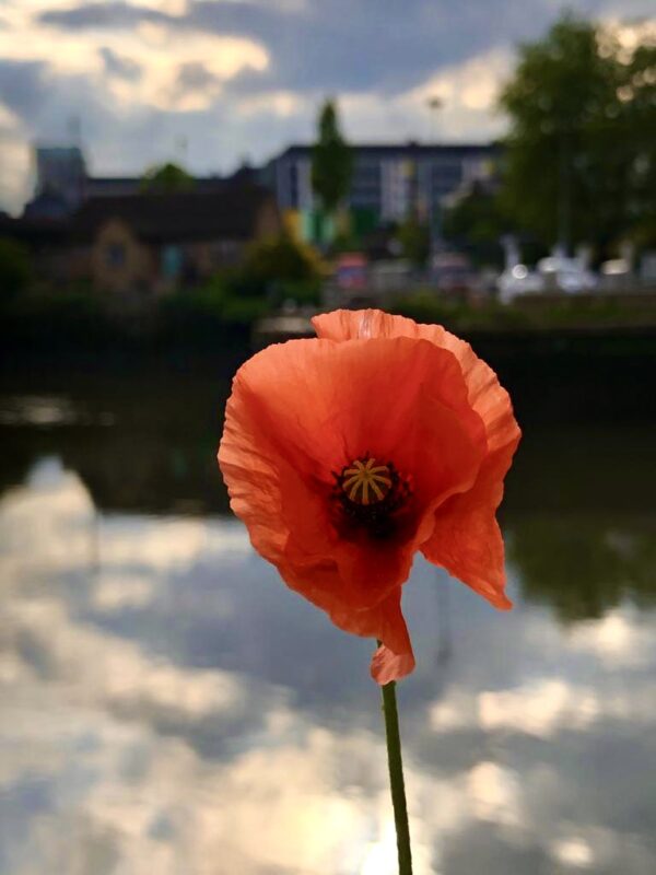 Untitled, taken at our Photography at Cody Dock workshop